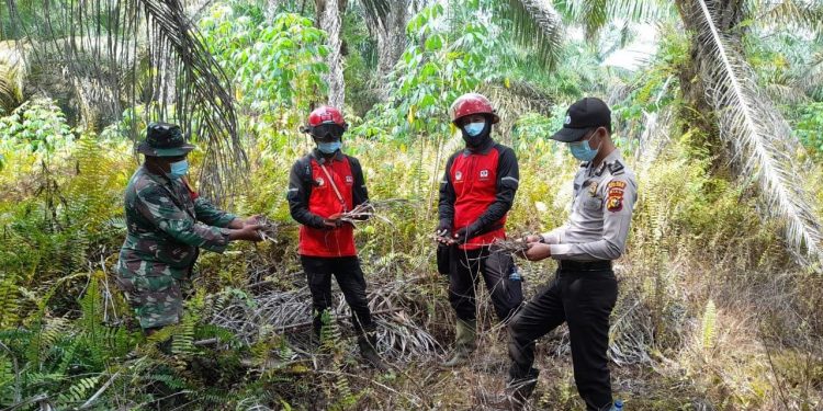 Polisi Teluk Meranti dan Tim Gabungan Lakukan Pemantauan ke Lokasi Rawan Karhutla