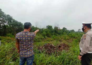 Telusuri dan Pantau Lahan, Polsek Pangkalan Kerinci Patroli Karhutla di Jalan Lingkar