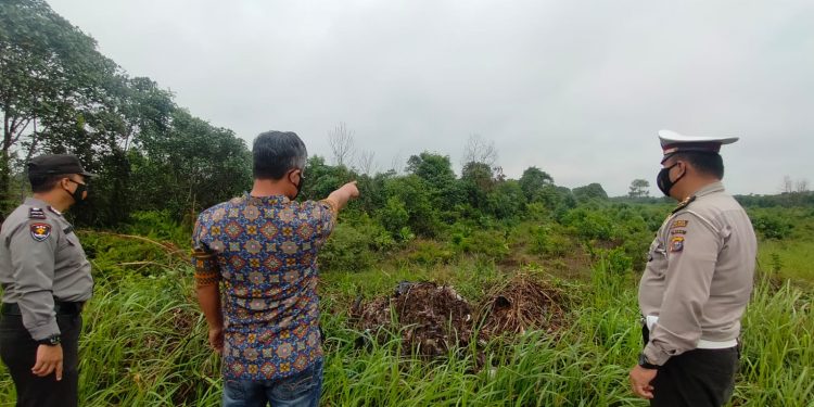 Telusuri dan Pantau Lahan, Polsek Pangkalan Kerinci Patroli Karhutla di Jalan Lingkar