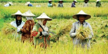 Puan Akan Berkoordinasi Dengan Pemerintah Terkait Penambahan Alokasi Pupuk Subsidi