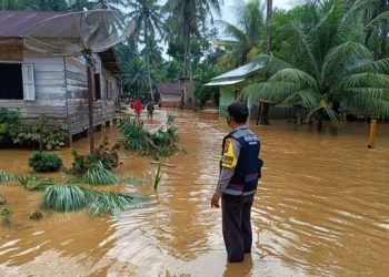 Diguyur Hujan Deras, 600 Rumah di Rohul Terendam Banjir