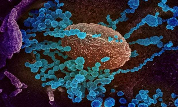 Ratusan Petugas Positif Covid di RS Terbesar Zimbabwe