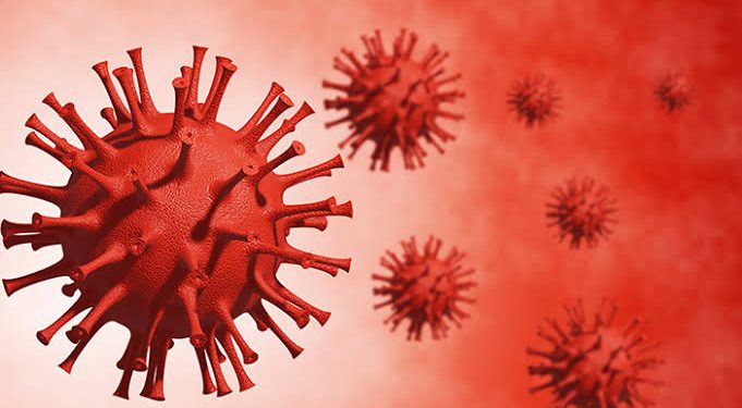 Covid-19 di Jepang Tiba-tiba Turun, Para Ahli Ikut Bingung