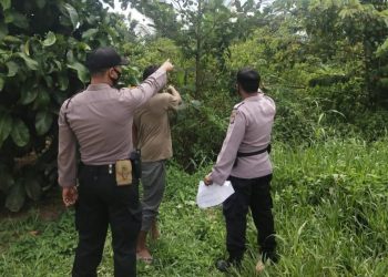 Polsek Pangkalan Lesung Sisir Wilayah Rawan Karhutla