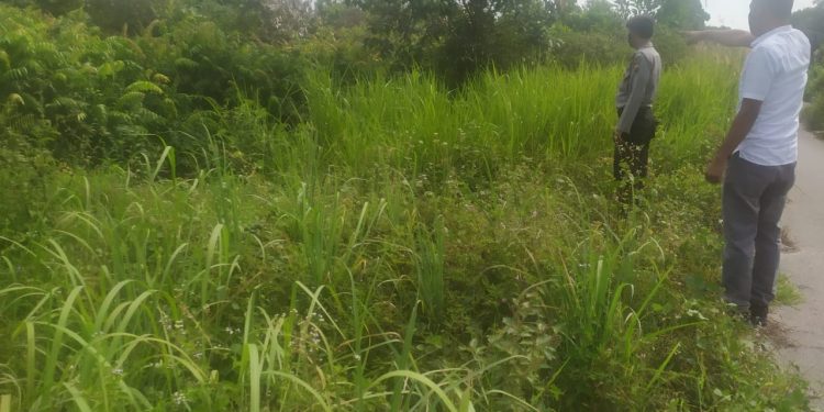 Pastikan Wilkum Terhindar dari Karhutla, Polsek Pangkalan Kerinci Monitoring ke Lahan Rawan Terbakar