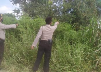 Personil Polsek Pangkalan Kerinci Lakukan Patroli Pencegahan Karhutla