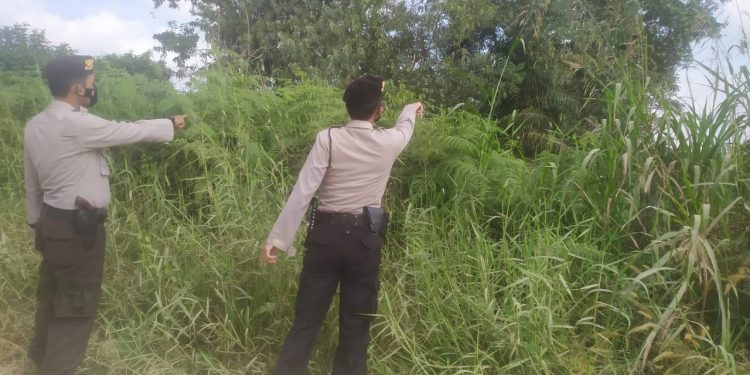 Personil Polsek Pangkalan Kerinci Lakukan Patroli Pencegahan Karhutla