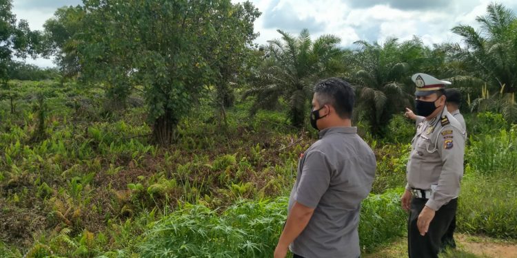 Sisir Jalan Lingkar Pangkalan Kerinci, Polisi Pantau Areal Rawan Karhutla