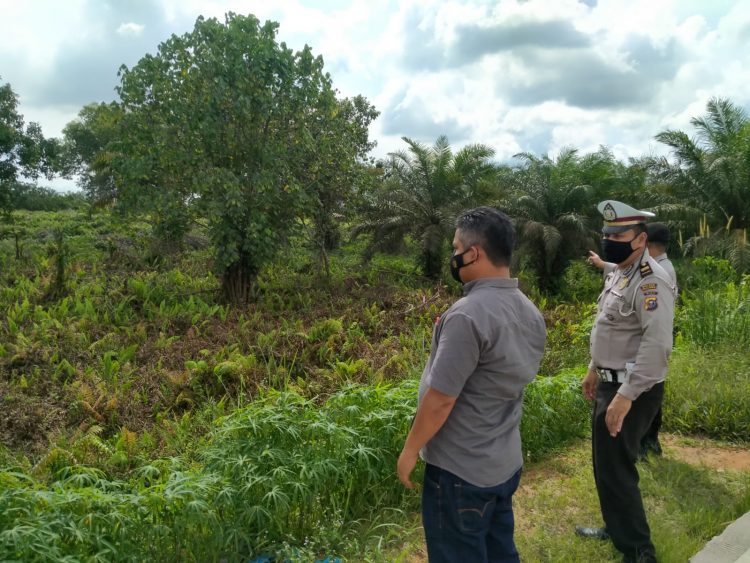 Sisir Jalan Lingkar Pangkalan Kerinci, Polisi Pantau Areal Rawan Karhutla