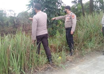 Sisir Jalan Lingkar Pangkalan Kerinci, Polisi Pantau Areal Rawan Karhutla