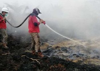 Riau Status Siaga Karhutla 2022, Kalaksa BPBD : Lihat Situasi