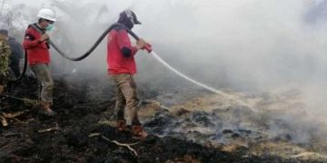 Riau Status Siaga Karhutla 2022, Kalaksa BPBD : Lihat Situasi