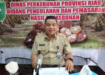 Kabar Gembira, Harga Sawit di Riau Naik Lagi