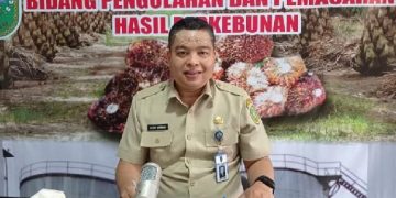 Kabar Gembira, Harga Sawit di Riau Naik Lagi