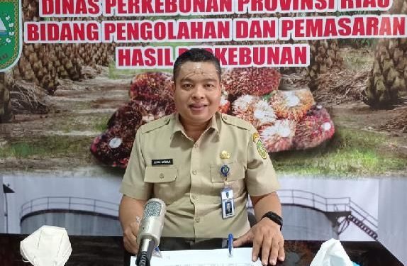 Kabar Gembira, Harga Sawit di Riau Naik Lagi