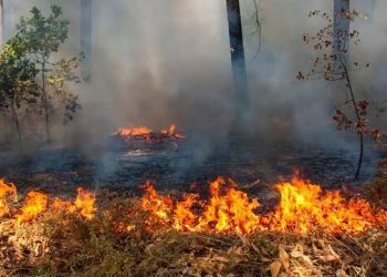 Waspada Karhutla, Titik Panas di Riau Terus Bertambah
