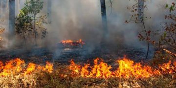 Waspada Karhutla, Titik Panas di Riau Terus Bertambah