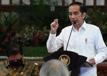 Tekan Penyebaran Kasus Omicron, Jokowi Imbau Pekerja Kembali Kerja dari Rumah