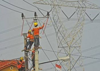 Ada Pemeliharaan Jaringan oleh PLN Pekanbaru, Ini yang Akan Terjadi