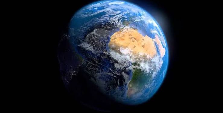 Penelitian Ungkap Bumi Berada di Masa Kepunahan Massal