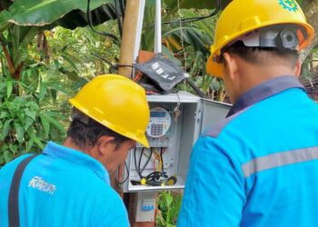 Program Electrifying Agriculture PLN Mampu Tekan Biaya Operasional Petani Bawang di Enrekang Sulsel Hingga 75 Persen