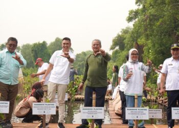 Percepat Perlindungan Ekosistem, Apical Tanam 3.000 Pohon Mangrove di Jakarta