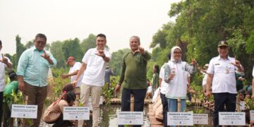 Percepat Perlindungan Ekosistem, Apical Tanam 3.000 Pohon Mangrove di Jakarta