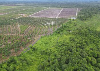 Kuasai Lahan HTI Milik PT SKR, PT RKT Dipolisikan