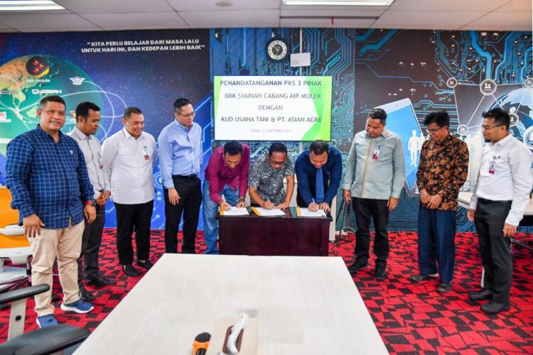 BRK Syariah Alokasikan Pembiayaan Replanting Untuk 178 Hektar Kebun Sawit di Desa Air Putih Inhu