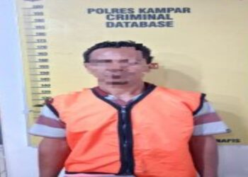 Polisi Tangkap Pelaku Bakar Lahan di Desa Kualu Nanas