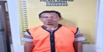 Polisi Tangkap Pelaku Bakar Lahan di Desa Kualu Nanas