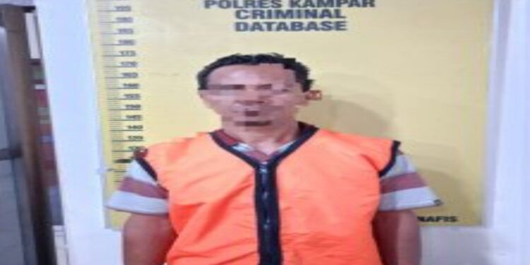 Polisi Tangkap Pelaku Bakar Lahan di Desa Kualu Nanas