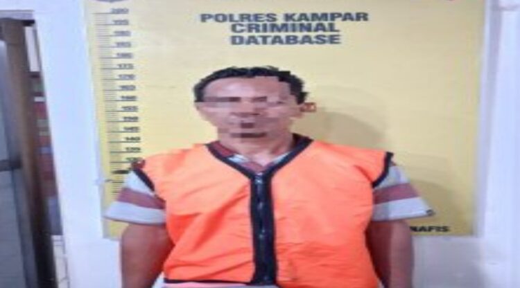 Polisi Tangkap Pelaku Bakar Lahan di Desa Kualu Nanas