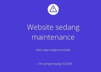 Waket Presidium Pusat Bravo 28 Minta SSCASN 2023 Diperpanjang “Website sedang Maintainance’