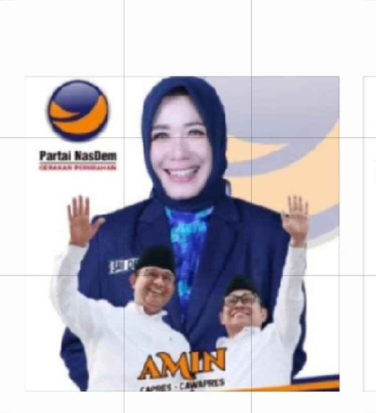 Maju Sebagai Caleg DPR RI, Sri Deviani Suguhkan Bukti Bukan Janji