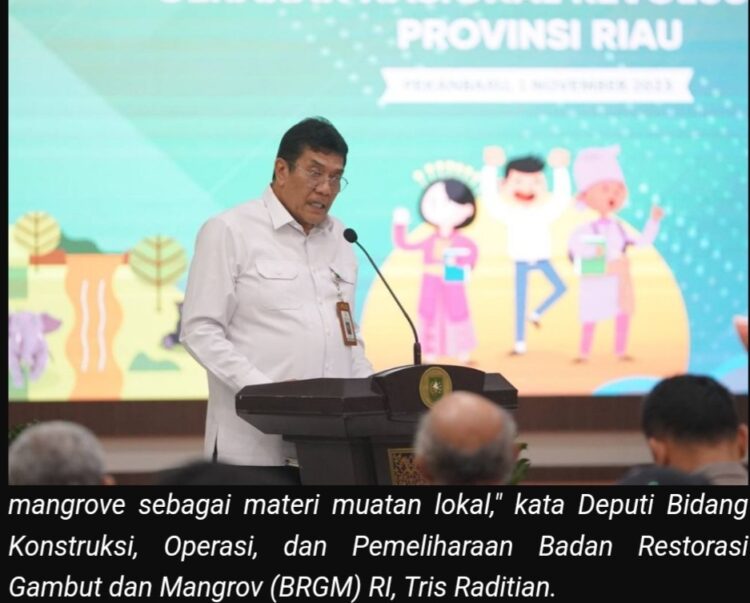 Riau Provinsi Pertama yang Meluncurkan Kurikulum Muatan Lokal Gambut dan Mangrove