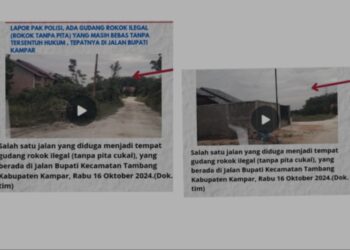 Luar Biasa, Diduga Rokok Ilegal Bebas Beredar Di Kota Pekanbaru, Big Boss Rokok Seakan Kebal Hukum