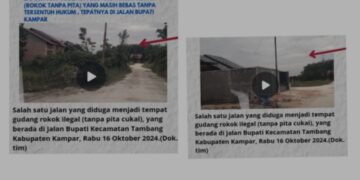 Luar Biasa, Diduga Rokok Ilegal Bebas Beredar Di Kota Pekanbaru, Big Boss Rokok Seakan Kebal Hukum