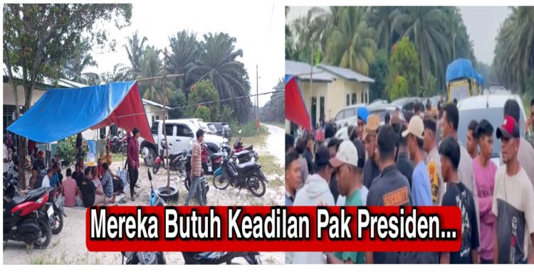 Demo di Hari ke dua Mediasi Agrinas Belum juga Temui Pendemo.  Janji Akan Mediasi Dengan KSO Agrinas Palma Nusantara Isapan Jempol.