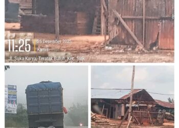 HUTAN RIAU TELAH PUNAH SOMEL MERAJALELA,DIMANA APARAT PENEGAK HUKUM