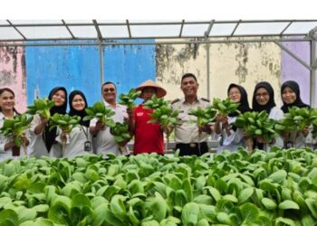 Lapas Pekanbaru Panen Sayur Pak Coy, Wujud Nyata Dukung Ketahanan Pangan Nasional dan 15 Program Aksi Kemenimipas 2026