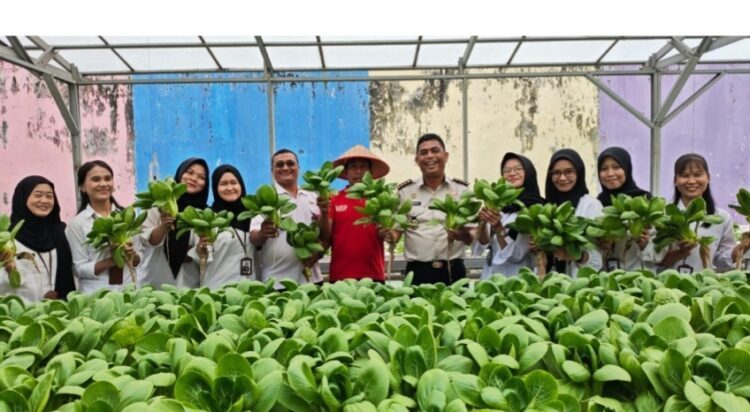 Lapas Pekanbaru Panen Sayur Pak Coy, Wujud Nyata Dukung Ketahanan Pangan Nasional dan 15 Program Aksi Kemenimipas 2026