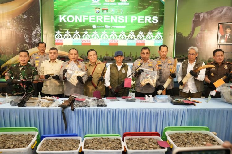 Polda Riau Tangkap Sindikat Pembunuh Gajah Tanpa Kepala,15 Pelaku di Amankan