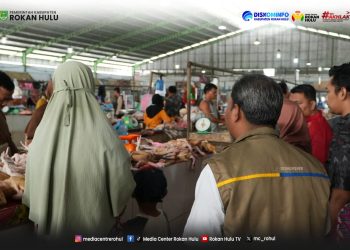 Pastikan Stabilitas Harga Jelang Ramadan, Bapanas Pusat dan Pemkab Rohul Gelar Sidak Pangan