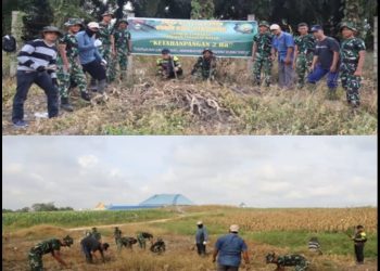 Satgas TMMD Kodim 0301/Pekanbaru Tanam Jagung, Cabai dan Ubi untuk Masa Depan Pangan Warga