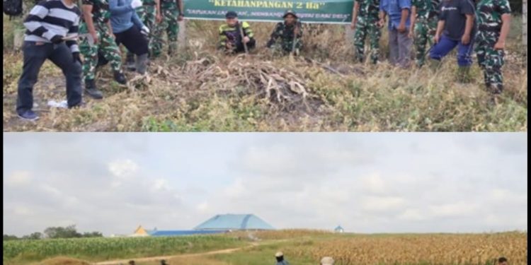 Satgas TMMD Kodim 0301/Pekanbaru Tanam Jagung, Cabai dan Ubi untuk Masa Depan Pangan Warga