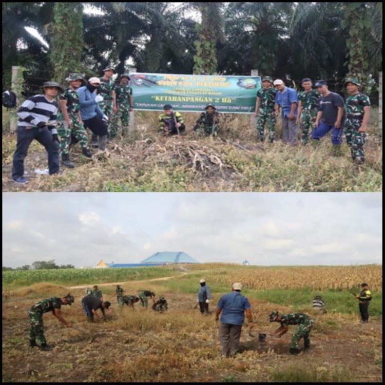 Satgas TMMD Kodim 0301/Pekanbaru Tanam Jagung, Cabai dan Ubi untuk Masa Depan Pangan Warga