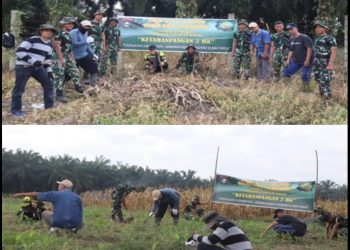Tanam Jagung, Cabai, dan Ubi, Satgas TMMD dan Warga Wujudkan Lahan Produktif
