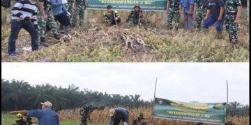 Tanam Jagung, Cabai, dan Ubi, Satgas TMMD dan Warga Wujudkan Lahan Produktif