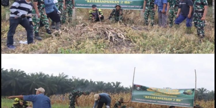 Tanam Jagung, Cabai, dan Ubi, Satgas TMMD dan Warga Wujudkan Lahan Produktif